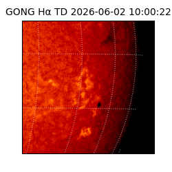 gong - 2026-06-02T10:00:22