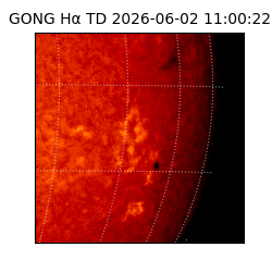 gong - 2026-06-02T11:00:22