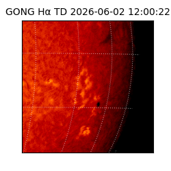 gong - 2026-06-02T12:00:22