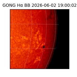 gong - 2026-06-02T19:00:02