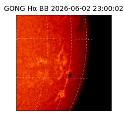 gong - 2026-06-02T23:00:02