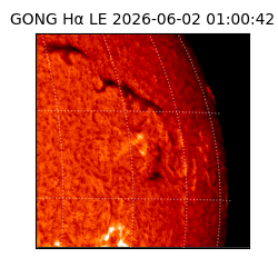 gong - 2026-06-02T01:00:42