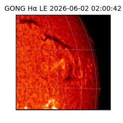 gong - 2026-06-02T02:00:42