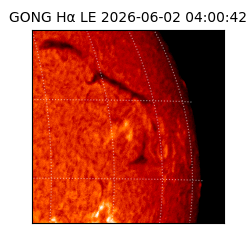 gong - 2026-06-02T04:00:42