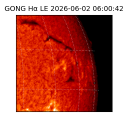 gong - 2026-06-02T06:00:42