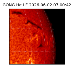gong - 2026-06-02T07:00:42