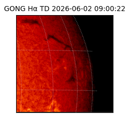 gong - 2026-06-02T09:00:22