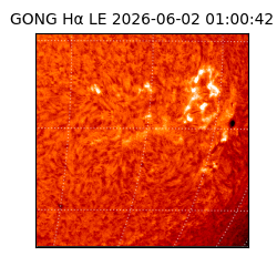 gong - 2026-06-02T01:00:42