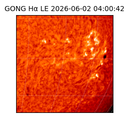 gong - 2026-06-02T04:00:42
