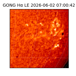 gong - 2026-06-02T07:00:42