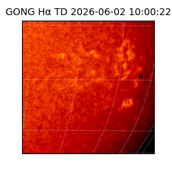 gong - 2026-06-02T10:00:22