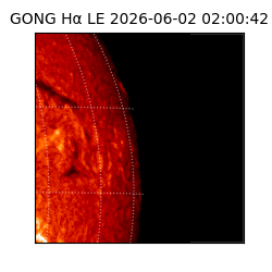 gong - 2026-06-02T02:00:42