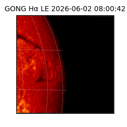 gong - 2026-06-02T08:00:42