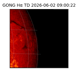 gong - 2026-06-02T09:00:22