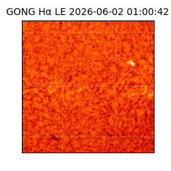 gong - 2026-06-02T01:00:42