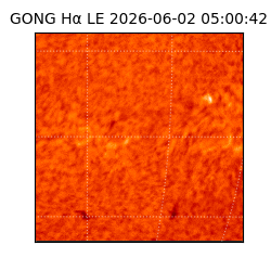 gong - 2026-06-02T05:00:42