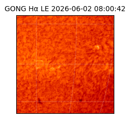 gong - 2026-06-02T08:00:42