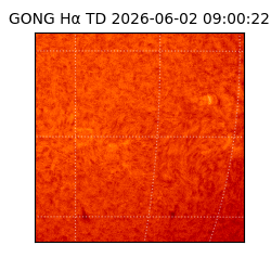 gong - 2026-06-02T09:00:22