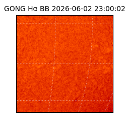 gong - 2026-06-02T23:00:02