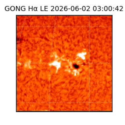 gong - 2026-06-02T03:00:42