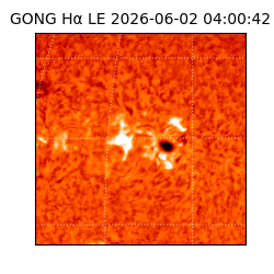 gong - 2026-06-02T04:00:42