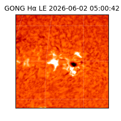 gong - 2026-06-02T05:00:42