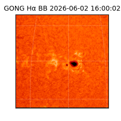 gong - 2026-06-02T16:00:02