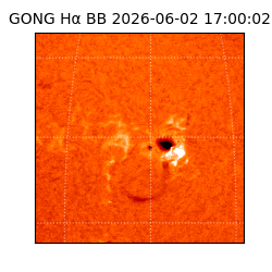 gong - 2026-06-02T17:00:02