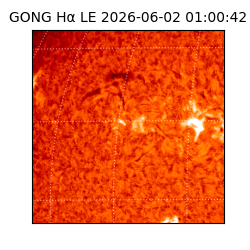 gong - 2026-06-02T01:00:42