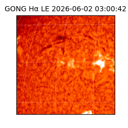 gong - 2026-06-02T03:00:42