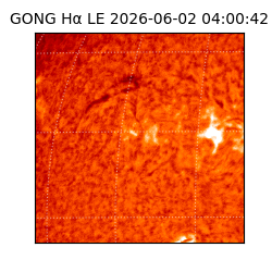 gong - 2026-06-02T04:00:42