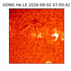gong - 2026-06-02T07:00:42