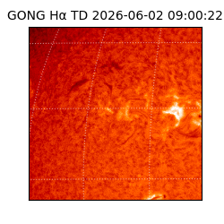 gong - 2026-06-02T09:00:22