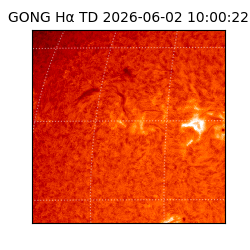 gong - 2026-06-02T10:00:22