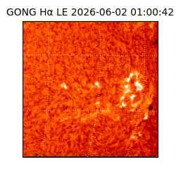 gong - 2026-06-02T01:00:42