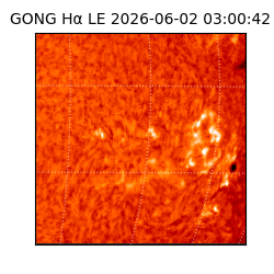 gong - 2026-06-02T03:00:42