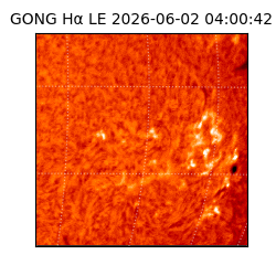 gong - 2026-06-02T04:00:42