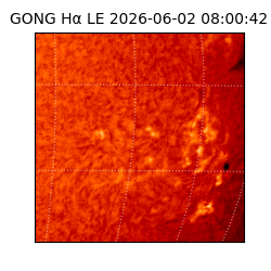 gong - 2026-06-02T08:00:42