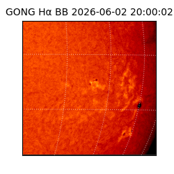 gong - 2026-06-02T20:00:02