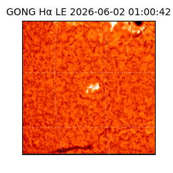 gong - 2026-06-02T01:00:42