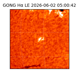 gong - 2026-06-02T05:00:42