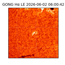 gong - 2026-06-02T06:00:42