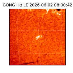 gong - 2026-06-02T08:00:42