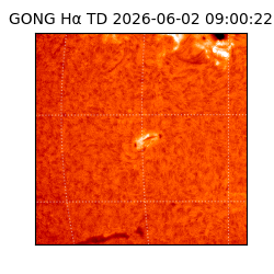 gong - 2026-06-02T09:00:22