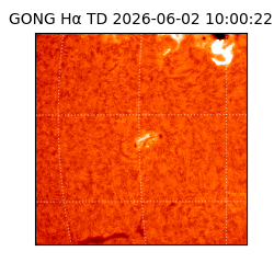 gong - 2026-06-02T10:00:22