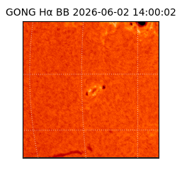 gong - 2026-06-02T14:00:02
