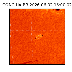 gong - 2026-06-02T16:00:02