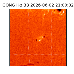 gong - 2026-06-02T21:00:02