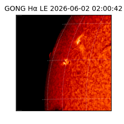 gong - 2026-06-02T02:00:42