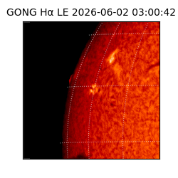 gong - 2026-06-02T03:00:42
